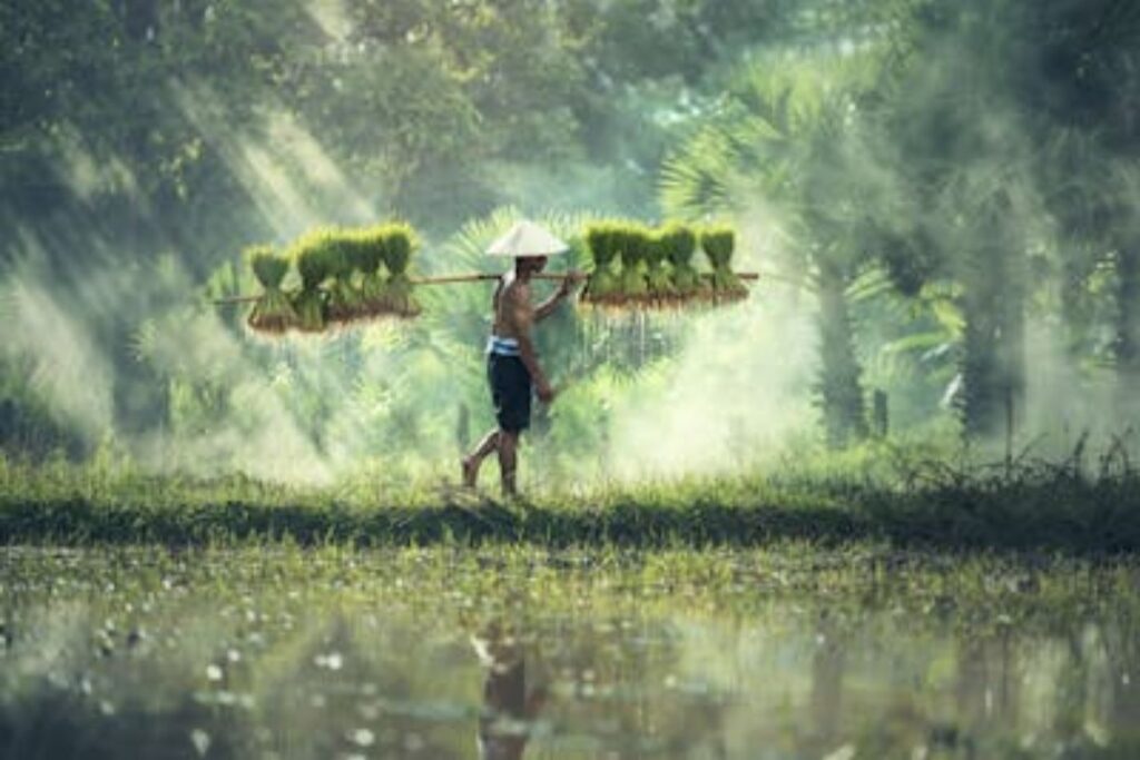 Cenário Criativo no Brasil: Polo de Economia Inovadora