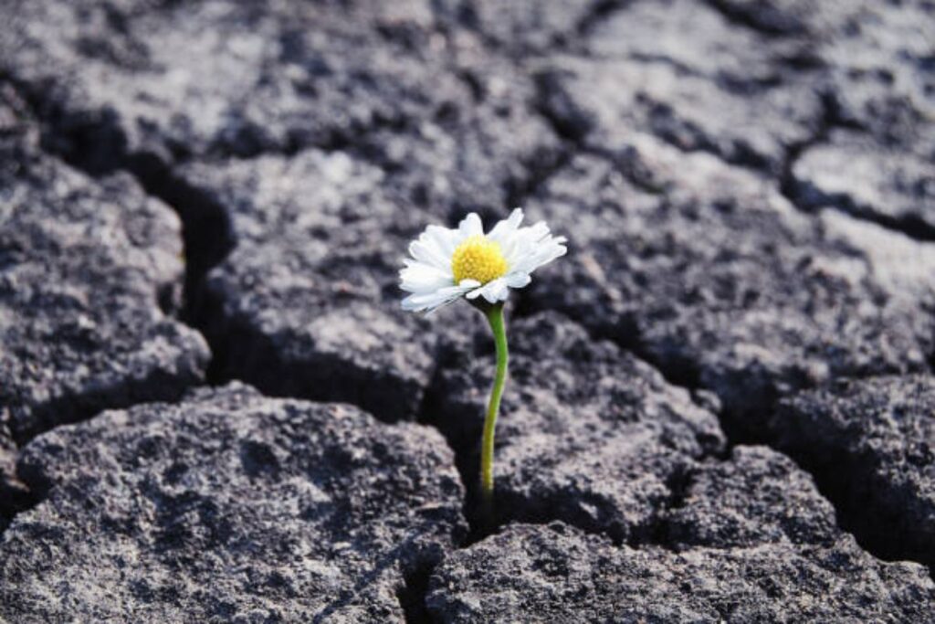 Resiliência Financeira: Lidando com imprevistos e emergências.