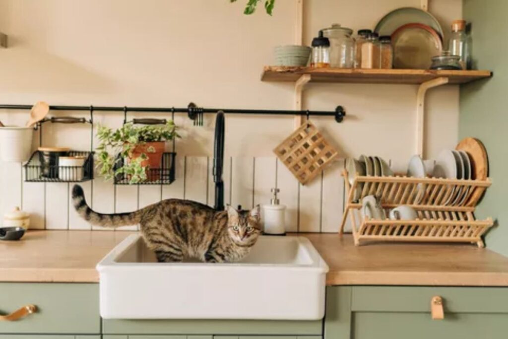 "Descubra o equilíbrio perfeito entre elegância e praticidade com as cozinhas planejadas. Explore designs sofisticados e funcionais que transformam seu espaço culinário em um ambiente dos sonhos.